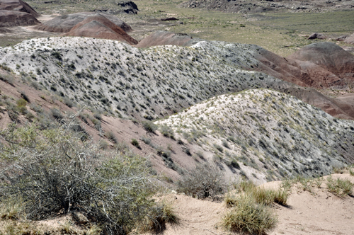 the Painted Desert as seen from Nizhoni Point